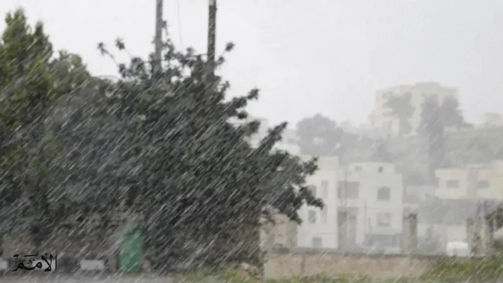 الجفر تسجل أعلى هطولا مطريا خلال 72 ساعة