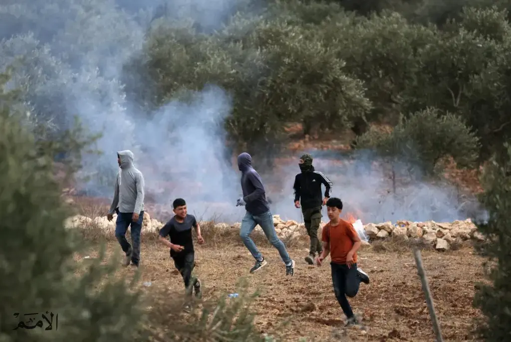 لليوم الثاني: مستوطنون يهاجمون قاطفي الزيتون والمتضامنين في دير جرير