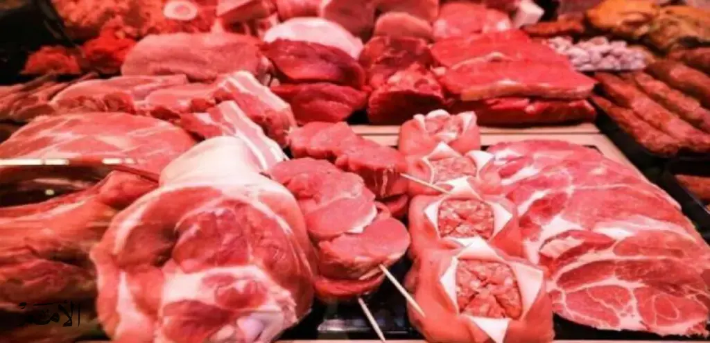 الغذاء والدواء: ضبط لحوم مجمدة أذيبت وبيعت على أنها طازجة
