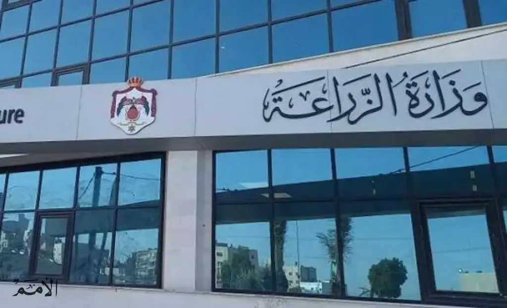 الزراعة تكشف حقيقة سرقة 14 ألف دينار خلال بيع زيتون في محطة الحسين