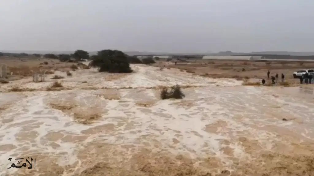 الأرصاد تحذر من السيول في البحر الميت والعقبة